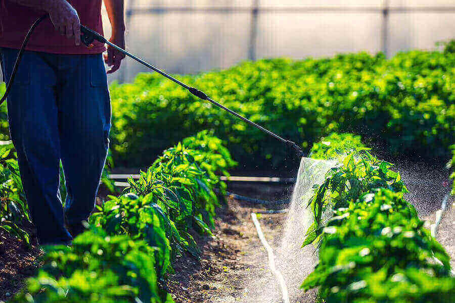 Naba Crop Care